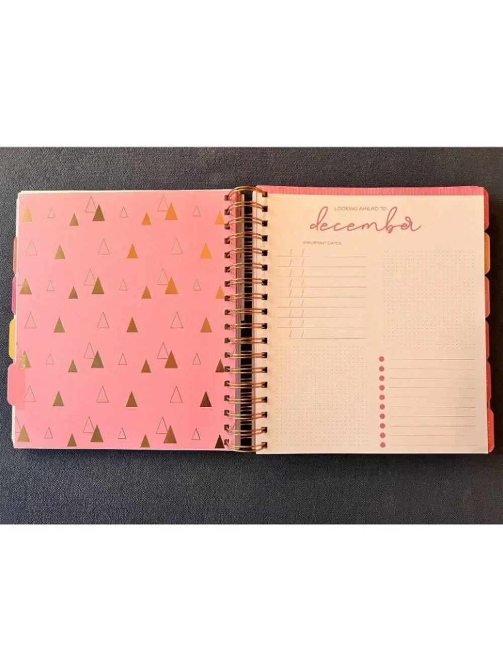 PINK COWGIRL 17 Month 2026-2027 Planner Month Day Week Organizer Planning Note